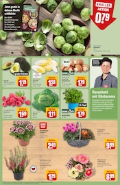 Blumentopf im REWE Prospekt in Chemnitz Aktueller REWE Prospekt mit Blumentopf, "Dein Markt", Seite 11