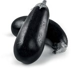 Auberginen Angebote bei Netto Marken-Discount Stendal für 0,77 €