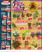 Aktueller Kaufland Prospekt mit Feuerwerk, "Aktuelle Angebote", Seite 13