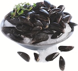 Moule de bouchot nettoyée - Supermarchés Match à Strasbourg Moule de bouchot nettoyée en promo chez Supermarchés Match Strasbourg à 7,49 €