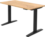 E-Schreibtisch ULIX Angebote von CARRYHOME bei Zurbrüggen Lüdenscheid für 195,00 €