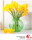 20 Jonquilles CARLTON - U Express à Ajaccio 20 Jonquilles CARLTON en promo chez U Express Ajaccio à 4,99 €
