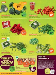 Salat im tegut Prospekt "tegut… gute Lebensmittel" mit 23 Seiten (Nürnberg)