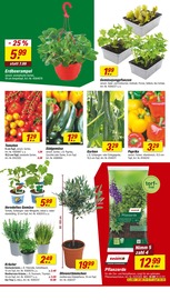 Paprika im toom Baumarkt Prospekt in Ibbenbüren Aktueller toom Baumarkt Prospekt mit Paprika, "Respekt, wer's selber macht.", Seite 6