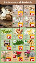 Pflanzen im REWE Prospekt in Kiel Aktueller REWE Prospekt mit Pflanzen, "Dein Markt", Seite 7