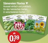 Sämereien Florina Angebote bei V-Markt Kaufbeuren für 0,39 €