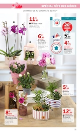 Promos Plantes dans le catalogue "Super U" de Super U Plantes en promo dans le catalogue Super U à la page 31