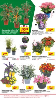 Komposter Angebot im aktuellen toom Baumarkt Prospekt auf Seite 6
