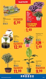 Catalogue Lidl en cours à Neuilly-sur-Seine, "La Foire aux Vins", Page 31