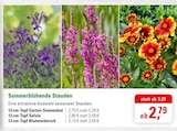Angebot im ZG Raiffeisen Heitersheim Prospekt ZG Raiffeisen Heitersheim Prospekt mit im Angebot für 2,79 €