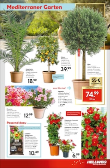 Gartenerde im Hellweg Prospekt "Traumterrasse in jedem Fall" mit 24 Seiten (Dortmund)