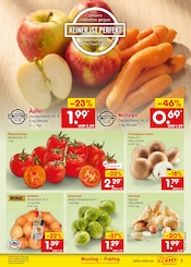Champignons im Netto Marken-Discount Prospekt in Bochum Aktueller Netto Marken-Discount Prospekt mit Champignons, "Aktuelle Angebote", Seite 5