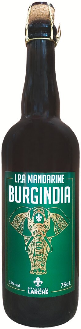 Bière ipa mandarine burgindia