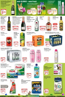 Energydrink im GLOBUS Prospekt "Aktuelle Angebote" mit 27 Seiten (Gießen)