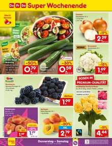 Pflanzen im Netto Marken-Discount Prospekt "Aktuelle Angebote" mit 67 Seiten (Aachen)