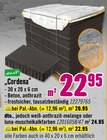 Pflastersteine „Cordena“ im Angebot bei Hornbach in Gladbeck Pflastersteine „Cordena“ Angebote von Lusit bei Hornbach Gladbeck für 20,95 €