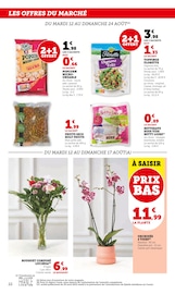 Plante Verte Angebote im Prospekt "Super U" von Super U auf Seite 22