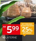 Laterne Angebote von Ambia Home bei XXXLutz Möbelhäuser Potsdam für 5,99 €