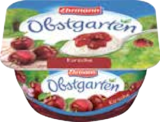 Obstgarten von Ehrmann im aktuellen Marktkauf Prospekt für 0,44 €