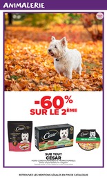 Offre César dans le catalogue Carrefour Market du moment à la page 15