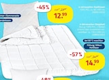 4-Jahreszeiten-Kopfkissen oder 4-Jahreszeiten-Steppbett Angebote bei ROLLER Unna für 12,99 €