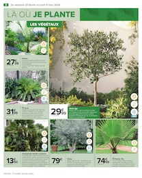 Prix et réduction Palmier dans le prospectus Carrefour en cours Offre Palmier dans le catalogue Carrefour du moment à la page 10