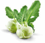 Kohlrabi im Netto Marken-Discount Prospekt Kohlrabi von HEIMAT im aktuellen Netto Marken-Discount Prospekt für 0,55 €