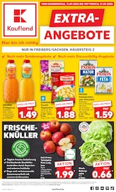 Gemüse im Kaufland Prospekt in Freiberg Aktueller Kaufland Prospekt mit Gemüse, "EXTRA-ANGEBOTE", Seite 1