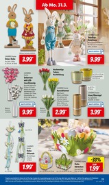 Aktueller Lidl Prospekt mit Blumen, "LIDL LOHNT SICH", Seite 35