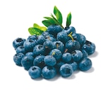 Heidelbeeren im aktuellen Netto mit dem Scottie Prospekt