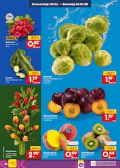 Mango im Netto Marken-Discount Prospekt in Ludwigsburg Aktueller Netto Marken-Discount Prospekt mit Mango, "Aktuelle Angebote", Seite 48