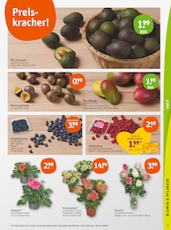 Passionsfrucht Angebot & Preis im aktuellen tegut Prospekt Passionsfrucht Angebot im aktuellen tegut Prospekt auf Seite 5