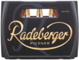 Aktuelles Radeberger Pilsner Angebot bei Netto mit dem Scottie in Potsdam ab 11,00 €