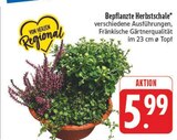Aktuelle Blumentopf Angebote bei E center in Erlangen Aktuelles Bepflanzte Herbstschale Angebot bei E center in Erlangen ab 5,99 €