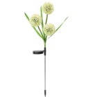 Solar Deko Stecker im Angebot bei Netto Marken-Discount in Bad Oeynhausen Solar Deko Stecker Angebote von Living & Garden bei Netto Marken-Discount Bad Oeynhausen für 4,99 €