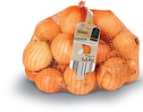 Zwiebeln im Angebot bei Netto Marken-Discount in Pirna Zwiebeln Angebote von HEIMAT bei Netto Marken-Discount Pirna für 1,99 €