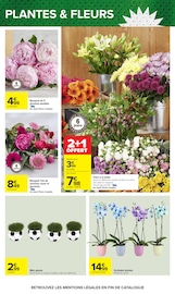 Promos Jardinage dans le catalogue "Carrefour" de Carrefour Jardinage en promo dans le catalogue Carrefour à la page 68