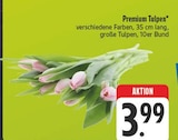 Premium Tulpen im Angebot bei EDEKA in Gera Premium Tulpen Angebote bei EDEKA Gera für 3,99 €