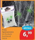 Spinnennetz von Fries für 6,99 € bei budni im Angebot Spinnennetz von Fries im aktuellen budni Prospekt