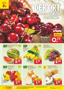 Paprika im Netto Marken-Discount Prospekt "Aktuelle Angebote" mit 63 Seiten (Hildesheim)