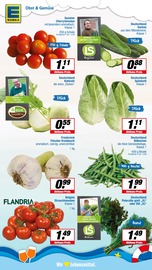Pflanzen im EDEKA Prospekt in Warendorf Aktueller EDEKA Prospekt mit Pflanzen, "Aktuelle Angebote", Seite 4