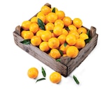 Promo Clémentine à 3,29 € dans le catalogue Lidl à L'Isle-sur-la-Sorgue