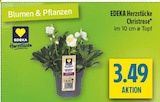 Christrose Angebote von EDEKA Herzstücke bei diska Zwickau für 3,49 €