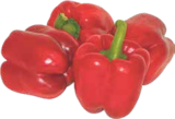 Paprika rot von  im aktuellen V-Markt Prospekt für 0,49 €