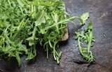 Aktuelle Salat Angebote bei Marktkauf in Hamburg Aktuelles Rucola Angebot bei Marktkauf in Hamburg ab 1,00 €