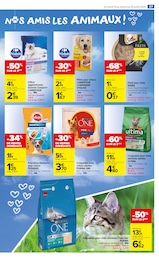 Croquettes Chien Angebote im Prospekt "LE TOP CHRONO DES PROMOS" von Carrefour Market auf Seite 41