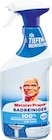 Reiniger von Meister Proper im aktuellen Netto Marken-Discount Prospekt für 2,29 €