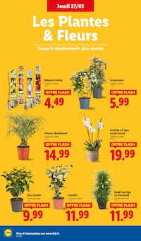 Promo Potée dans le catalogue Lidl du moment à la page 28