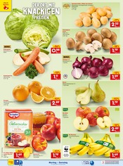 Ähnliche Winterreifen Angebote im Prospekt "Aktuelle Angebote" von Netto Marken-Discount in Straubing Ähnliche Angebote wie Winterreifen im Prospekt "Aktuelle Angebote" auf Seite 16 von Netto Marken-Discount in Straubing