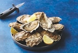Huitres fines de Bretagne - U dans le catalogue U Express